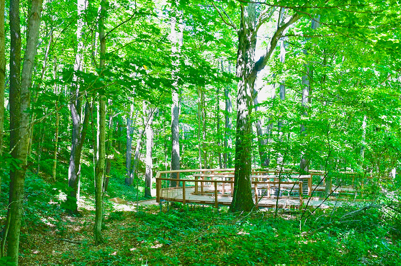 Arcadia Dunes Baldy Trails